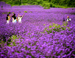 贵州花花世界